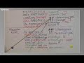 Genetics Concepts and Terminology