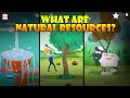 Renewable and Non-Renewable Resources