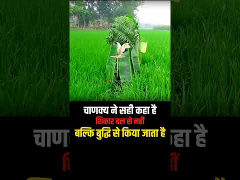 🔥शिकार बल से नहीं बल्कि बुद्धि से किया जाता है💥 #motivation #business #trendingshorts #billionaire