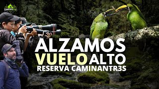 SOÑAMOS en el CAOS I La Reserva CaminanTr3s
