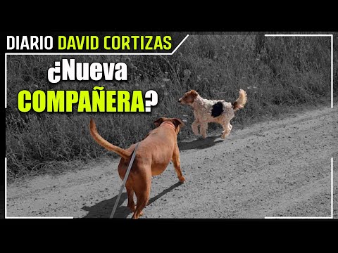 La nueva amiga de Lana - David Cortizas Diario - 25/6/25