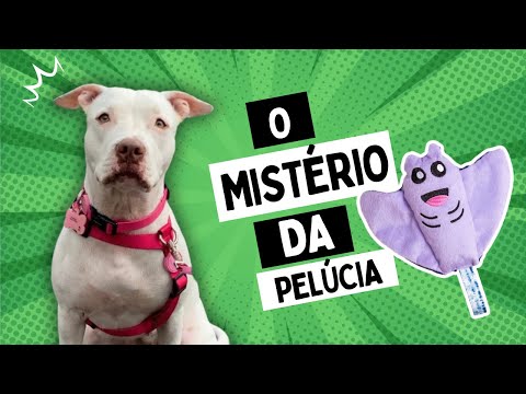 O MISTÉRIO DA PELÚCIA.