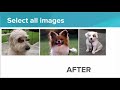 CSS Selectors and Rules