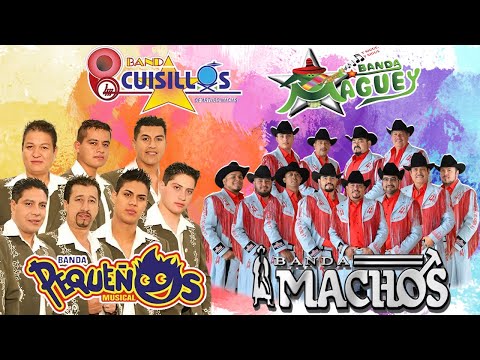 Pequeños Musical, Cuisillos, Machos, Maguey🎶Las Mejores Banda Viejitas Mix Románticas de los 90