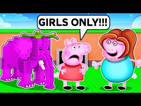 I Snuck Into GIRLS ONLY SERVER In Steal A Brainrot!
