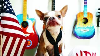 High Dive Heart-- Bella For President "Dirty $$$" Campaign