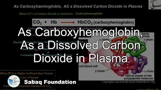 As Carboxyhemoglobin, As a Dissolved Carbon Dioxide in Plasma