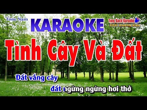 Tình Cây Và Đất Karaoke | Tone Nam – Nhạc Sống Tùng Bách