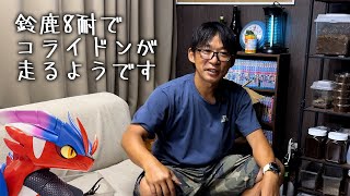 コライドンが鈴鹿8耐で走るようです