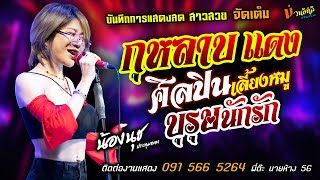 กุหลาบแดง+ศิลปินเลี้ยงหมู+บุรุษนักรัก แสดงสด [[น้องนุช ประทุมทอง]] สาวสวยแซ่บ สวยขยี้ใจ+ขุนแผนเดิน