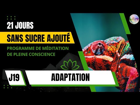 J19 - Méditation Adaptation| PROGRAMME GRATUIT 21 JOURS SANS SUCRE AJOUTÉ