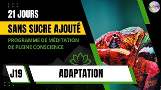 J19 - Méditation Adaptation| PROGRAMME GRATUIT 21 JOURS SANS SUCRE AJOUTÉ