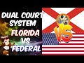 Civics Review: Dual Court System
