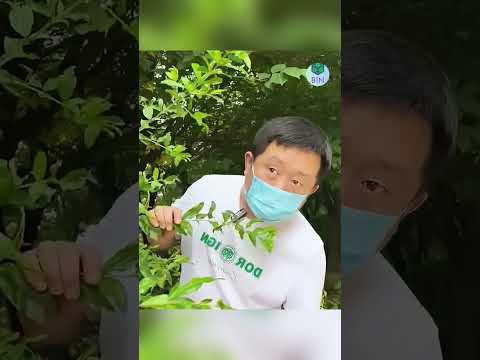 Cô gái lao công thoát nạn nhờ lòng tốt của mình