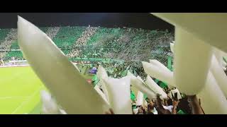 DESDE LA TRIBUNA| SALIDA DE LOS DEL SUR A NACIONAL 3 VS TOLIMA 1| FINAL IDA.