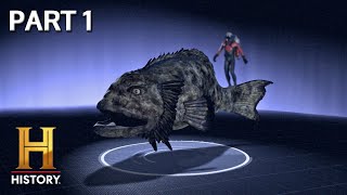 The Goliath Grouper is Waiting to Strike (Part 1) | MonsterQuest