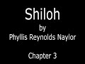 Understanding Shiloh: Key Themes and Questions