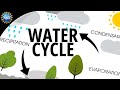 Water Cycle Concepts and Processes
