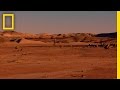 Human Physiology and Challenges in Space