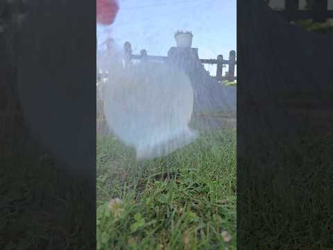 Slow Motion Water balloon