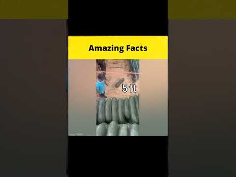 Real life superhumans @MRINDIANHACKER @CrazyXYZ  || #FactNirvana || #shorts