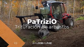 Vídeo - FAE PaTriziO - La pequeña trituradora forestal FAE con un tractor Antonio Carraro TTR 7600