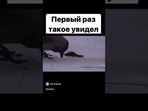 2 Миллион просмотров за 6 дня!!!!спасибо!!Подлëдный лов