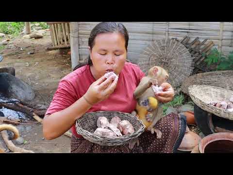 survival in the rainforest-women changed monkey to mans and cook goose with taro-Eating delicious HD