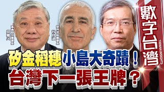 數字台灣#HD574 矽金稻穗小島大奇蹟！台灣下一張王牌？謝金河 谷月涵 邱羅火