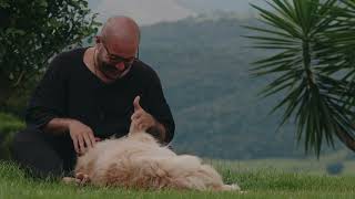 Descobrindo o Brasil com a Hyundai | Serra da Mantiqueira