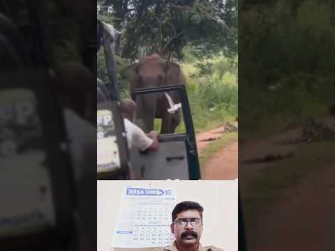 ഒരു മനുഷ്യന് ഇത്രയും ധൈര്യമോ #shots #reaction #viralvideo #kl72subashshorts