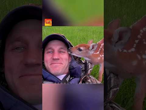 Man Saved This Baby Deer