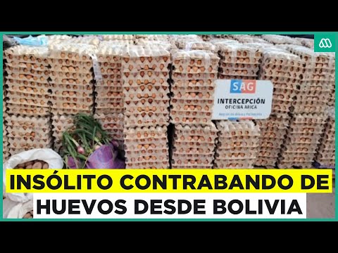 Insólito contrabando de huevos desde Bolivia a Chile