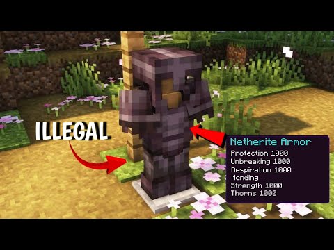 I Found the Rarest ARMOR in this MINECRAFT Smp But...