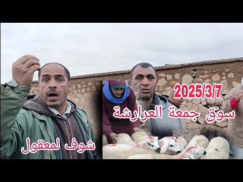 مباشره من سوق جمعة العرارشة باقليم قلعة السراغنة بتاريخ 2025/3/7 مع أتمنة خروف وخروفة والله يرحمنا