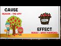 Exploring Cause and Effect Connections