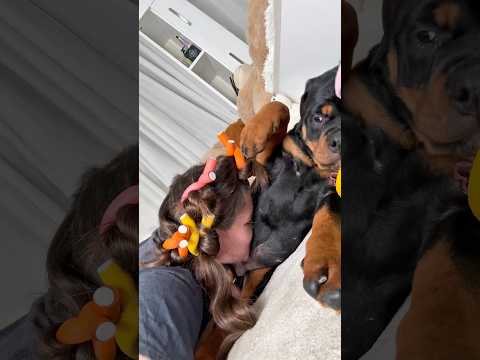 Belly Kisses Are The Best