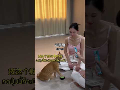กดปุ่มสั่งงานทาส😹