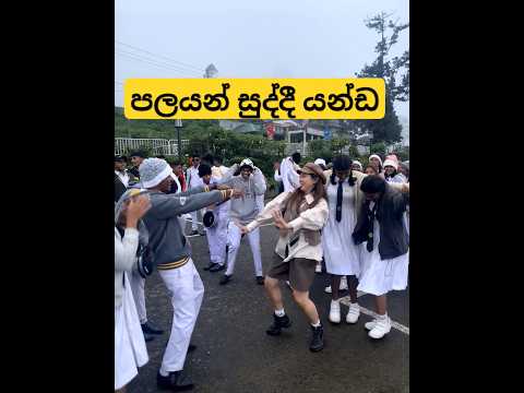 උදාර කොල්ලෙක් ඌ 🤐😂 #dance #viral #trending #funny #trendingdance #shorts