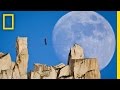 Capturing the Moonshot: Key Concepts