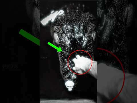 Everyone Thought It Was Just Water… Then the Crocodile 🐊 Appeared#shorts