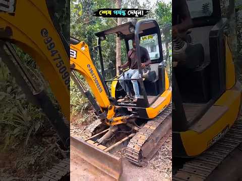 Building Wooden Log Cabin in Forest🌲😳। Survival House Step by Step"6 #shorts #Amazingfacts