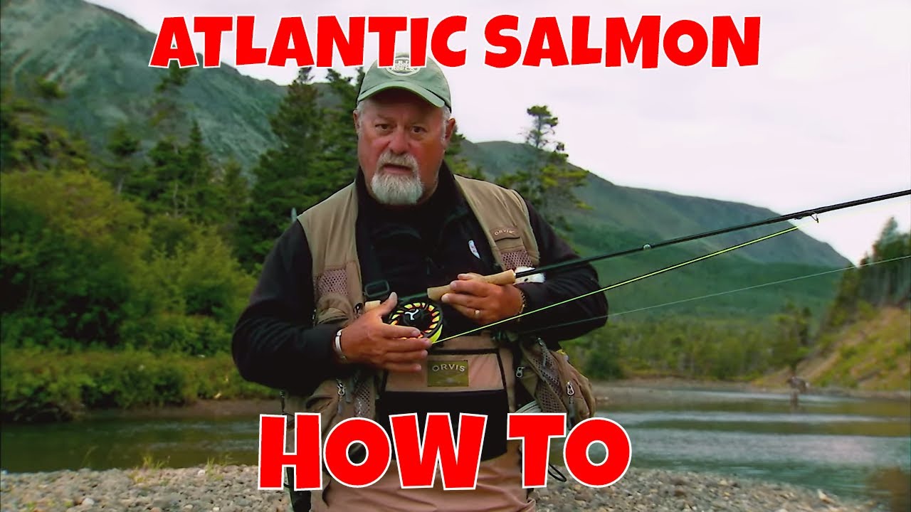 Atlantic Salmon Fishing Basics - How To - The New Fly Fisher