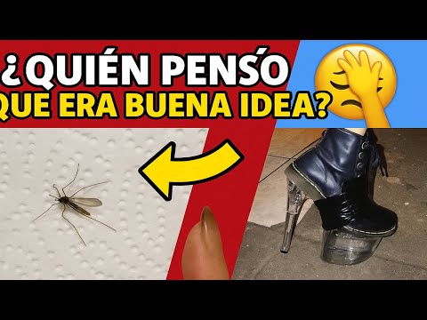 Inventos Que NO Tienen Sentido y Aun Así Existen 😵