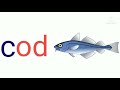 Understanding Word Families with 'Odd'