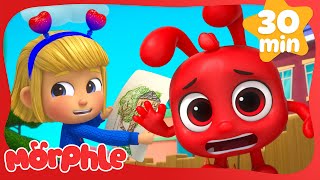 Magic Pets Build a Treehouse... Uh Oh! 😅🪄 | MORPHLE 🔴 | Old MacDonald's Farm | Animal Cartoons