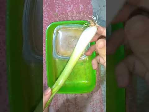 اجمل لانش بوكس للمدرسه😂😍#shorts