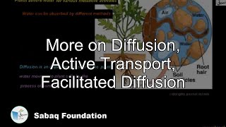 More on Diffusion, Active Transport, Facilitated Diffusion
