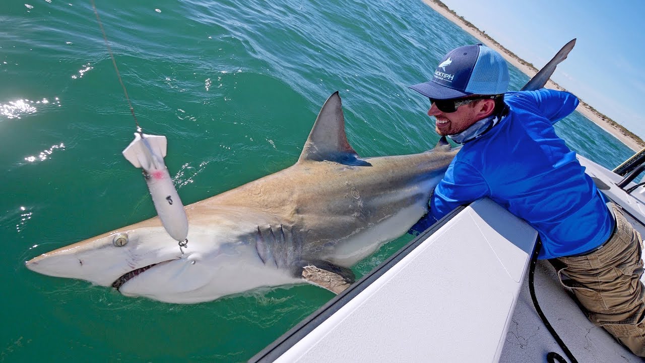 Best Topwater Shark Fishing Ever