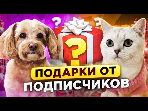 ПОДАРКИ ОТ ПОДПИСЧИКОВ /ЛЙКИ LIKE/#cat